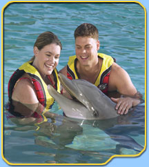 Dolphin Adventure
