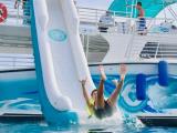 Dolphins and You - Wild Dolphin Watch & Snorkel Dolphins and You - Wild Dolphin Watch & Snorkel
