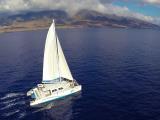 maui dolphin watching maui dolphin watching