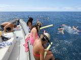 maui adventure cruises