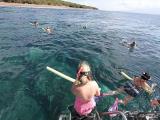 maui adventure cruises