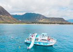 Oahu Dolphin Encounters